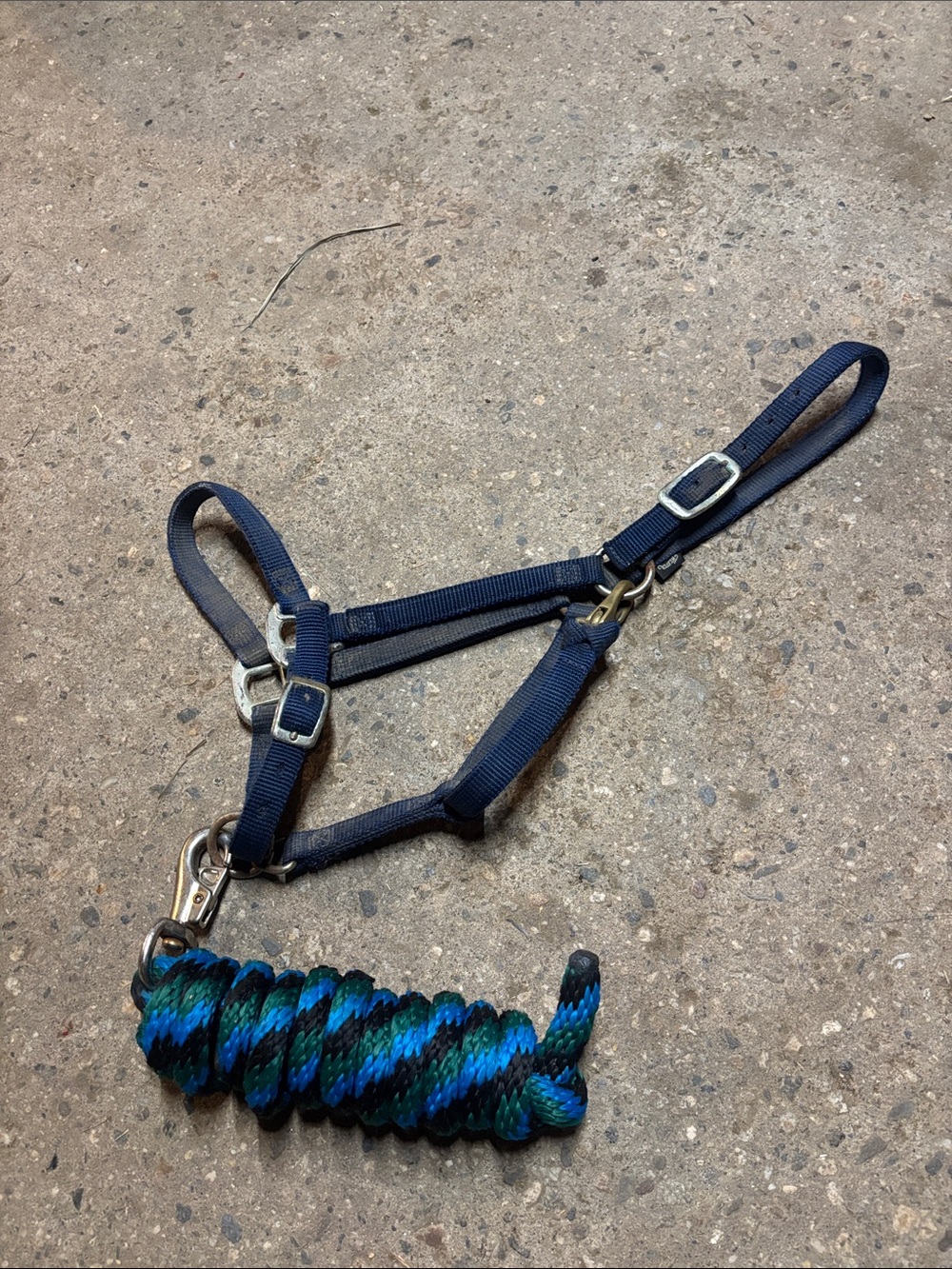 Weavers Blue and Teal Horse Halter with Lead Rope